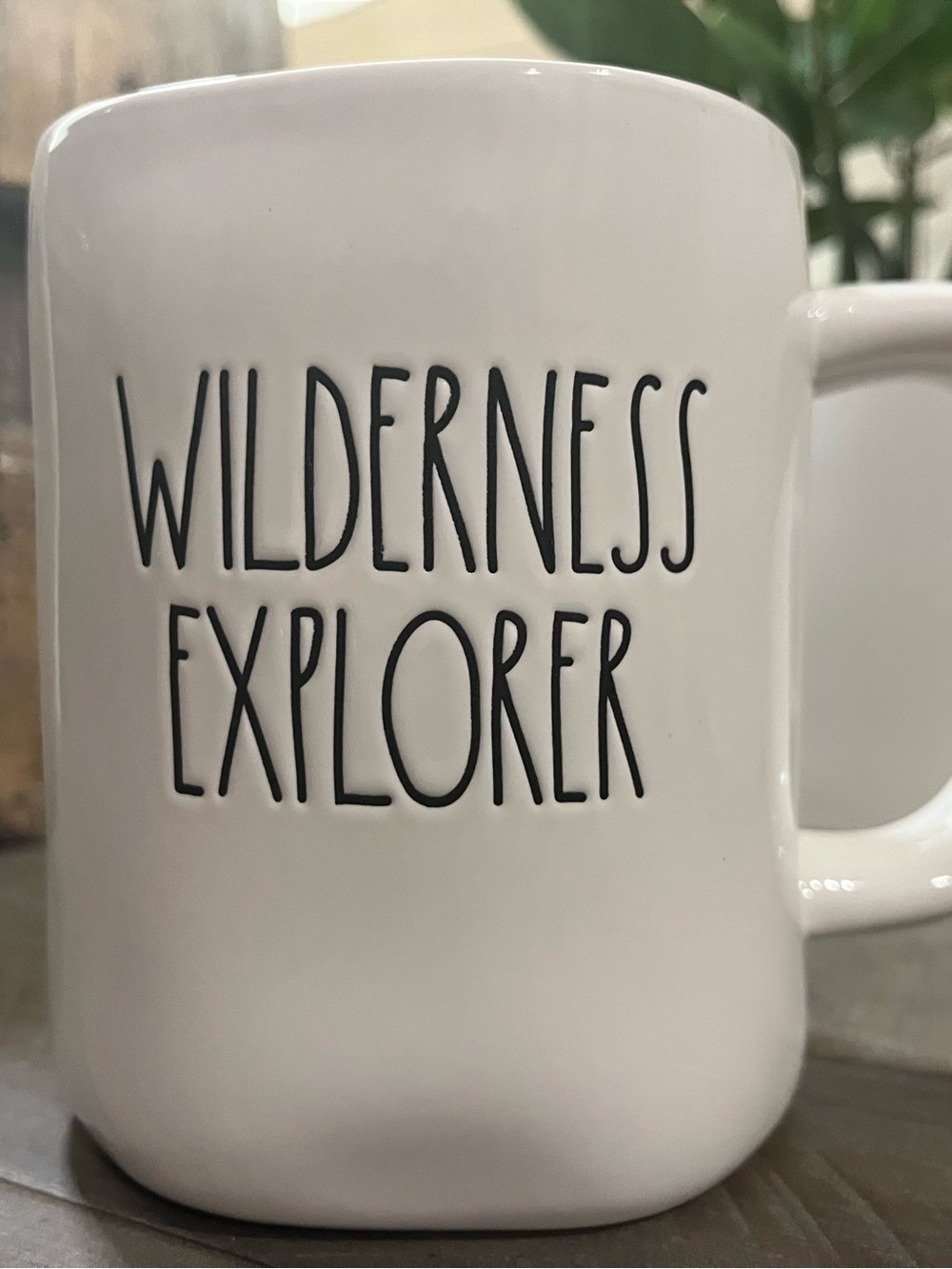 Rae Dunn Disney Pixar Up Mug - 'Wilderness Explorer' & Russell Image
